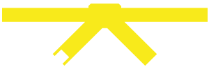 8th-KUP-belt-icon