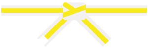 9th-KUP-belt-icon